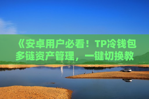 《安卓用户必看！TP冷钱包多链资产管理，一键切换教程》