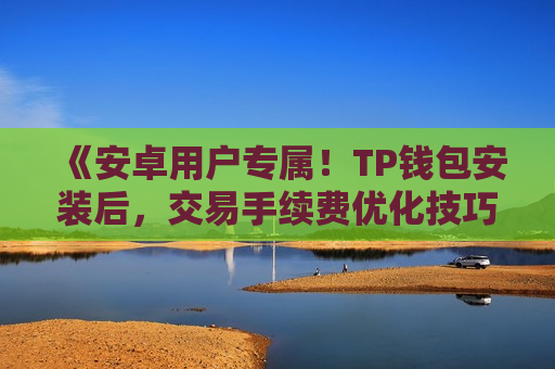 《安卓用户专属!TP钱包安装后,交易手续费优化技巧》 《安卓用户专属!TP钱包安装后,交易手续费优化技巧》