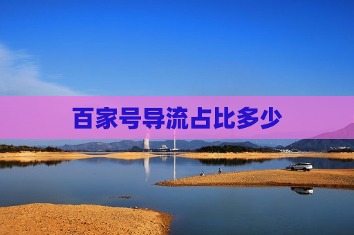 百家号导流占比多少