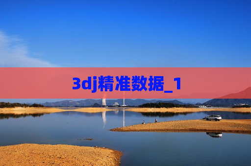 3dj精准数据_1