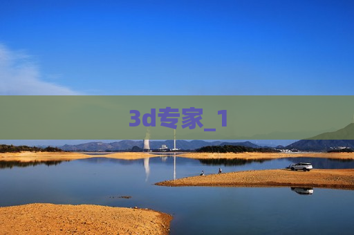 3d专家_1