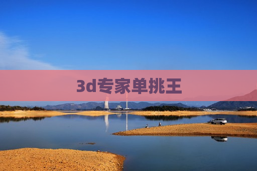3d专家单挑王 3d专家单挑王