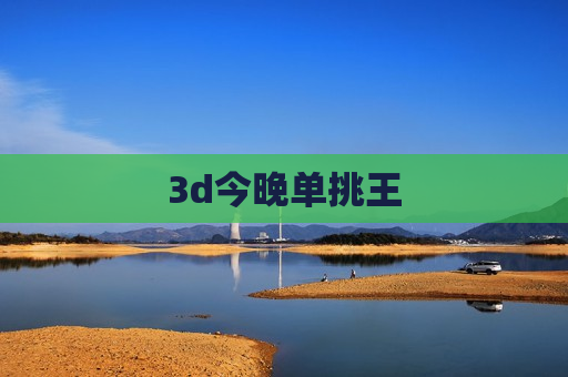 3d今晚单挑王