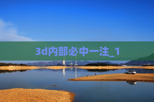 3d内部必中一注_1