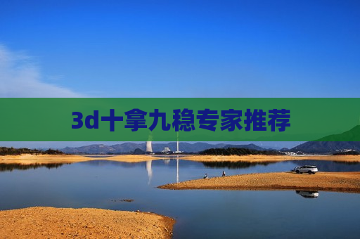 3d十拿九稳专家推荐
