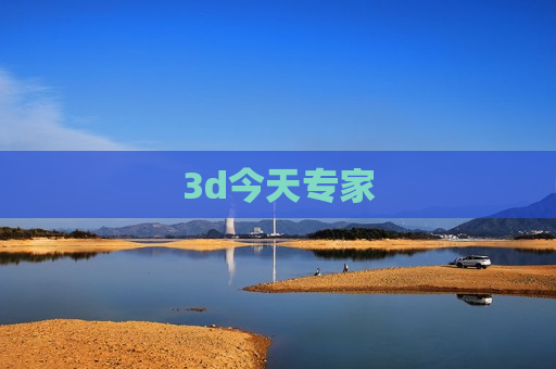 3d今天专家
