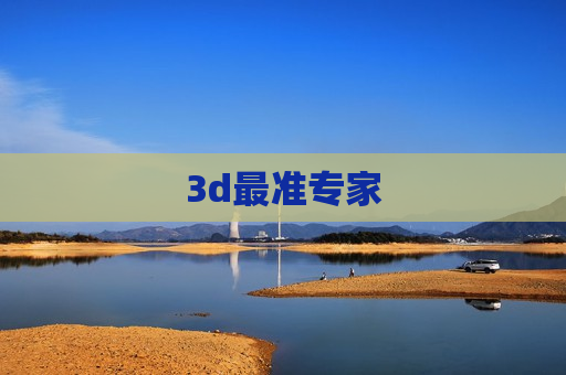 3d最准专家