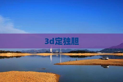 3d定独胆 3d定独胆