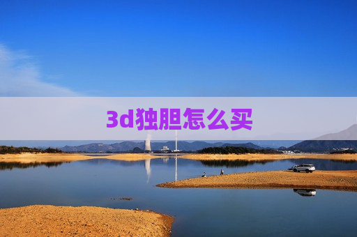 3d独胆怎么买
