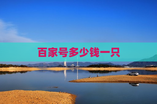 百家号多少钱一只
