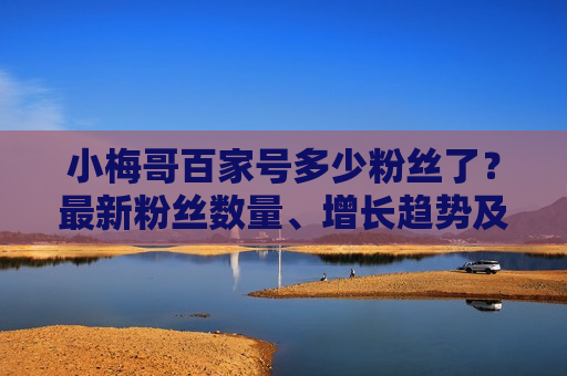 小梅哥百家号多少粉丝了？最新粉丝数量、增长趋势及同领域排名解析
